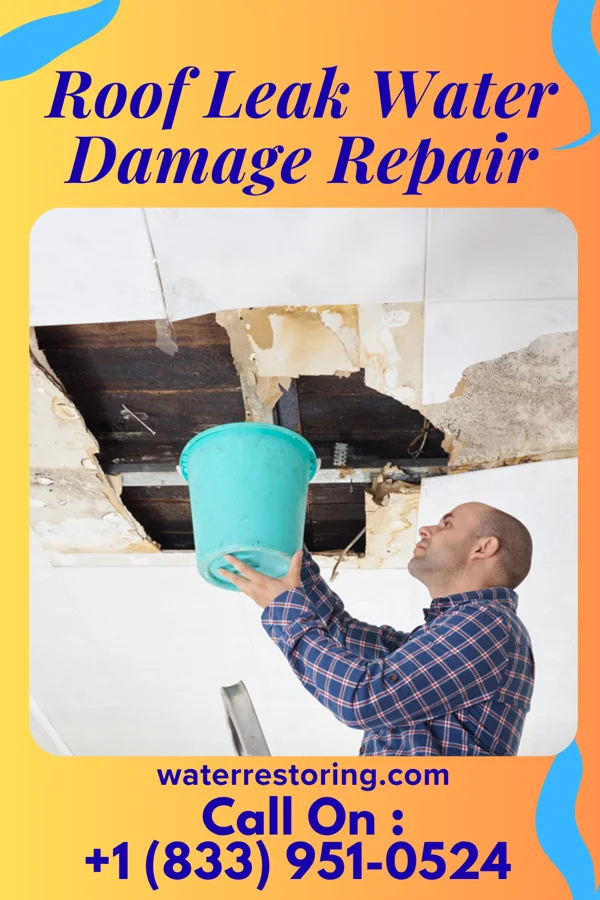 Roof Leak Water Damage Repair in Moorland, KY