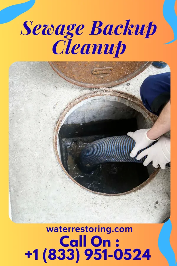 Sewage Backup Cleanup in Moorland, KY