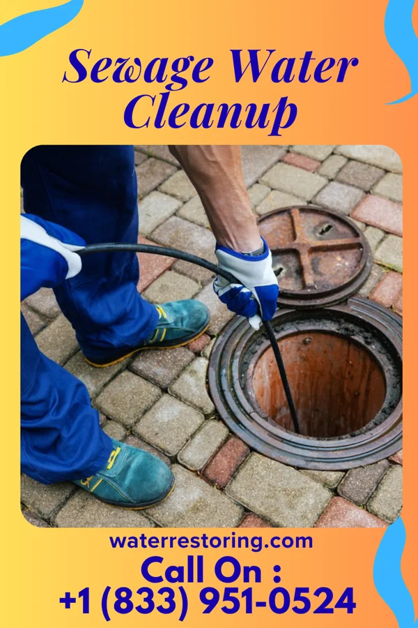 Sewage Water Cleanup in Moorland, KY